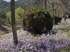 -大连金龙寺国家森林公园-售票处