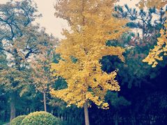 -长辛店二七公园