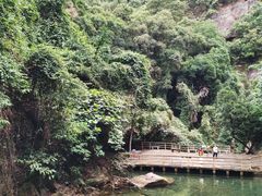 -鼎湖山风景区