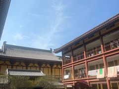 -庐山风景名胜区-东林大佛