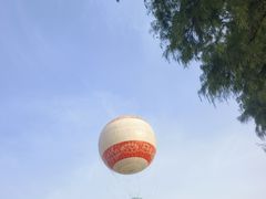 -古琴台