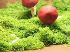 -菌自由丨野生菌火锅特色庭院餐厅(丽江古城店)