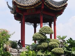 -顺峰山公园