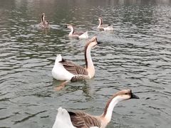 -两江国际影视城