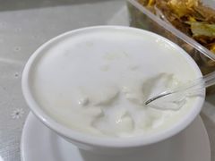 椰汁双皮奶-老周记顺德双皮奶