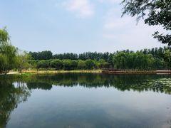 -东郊湿地公园