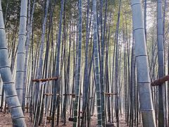 -陶祖圣境风景区