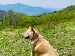 -灵山