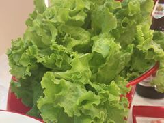 -鸿盛火锅(重庆路店)