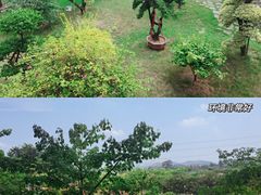 -盈香心动乐园