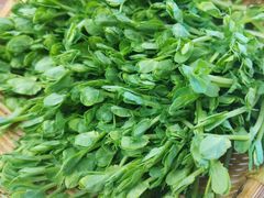 有机豆苗-菌子鲜汤野生菌锅