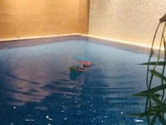 -斯博特游泳俱乐部(永安里店)