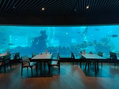 -海棠湾洲际-涛·海底餐厅·美人鱼·自助餐·海底隧道