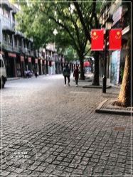 -金太子形象设计