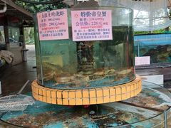 -荔城生鲜盛宴(番禺旗舰店)