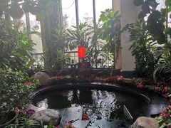 -东方华地城湿地温泉度假区