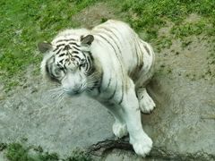 -北京野生动物园