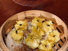 -点都德·毕德寮