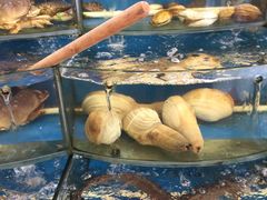 -渔中舟海鲜大排档(普陀沈家门店)