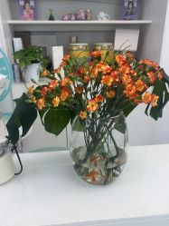 -斐尔国际皮肤管理中心