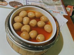 -新哥老官·畅吃123·美蛙世界(苏宁广场店)