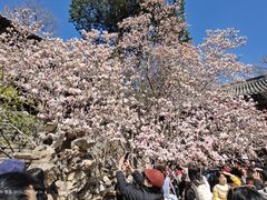 -潭柘寺景区