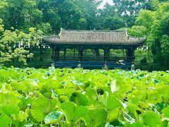 -房湖公园