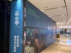 -上海世纪汇广场