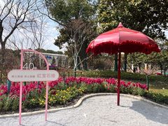 -上海鲜花港