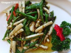 SSL24106-中国饭店-餐厅