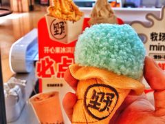 -野人先生现做冰淇淋(北京悠唐购物中心店)