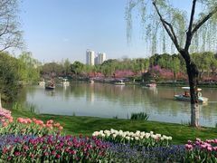-圩墩遗址公园