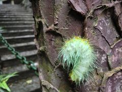 景点-藏龙百瀑风景区