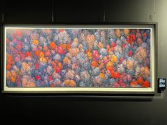 -罗红摄影艺术馆