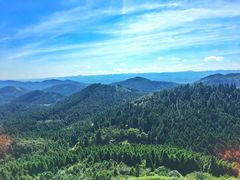 -武陵山森林公园