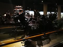-乐山乌木文化博览苑