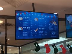 -西树泡芙(蓝色港湾店)