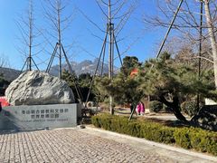 -泰山风景名胜区