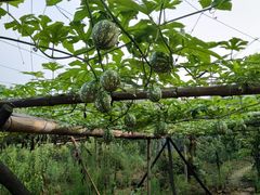 -陶祖圣境风景区
