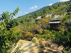 -海南槟榔谷黎苗文化旅游区
