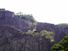 -九曲溪竹筏码头