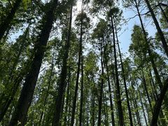 -同里国家湿地公园