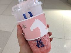 -春丽小马(济南恒隆广场店)