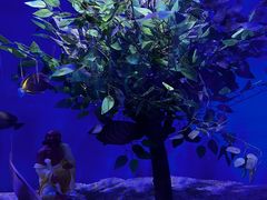 -上海海昌海洋公园