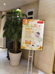 -银座Calla