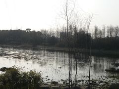 湿地-新江湾城公园