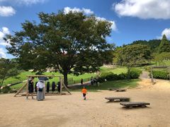 -神户市立六甲山牧场