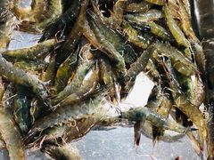 -羊栏农贸市场(羊新路店)