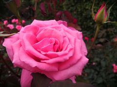 -人民公园(罗湖区)