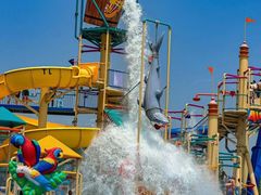 -秦皇岛乐岛海洋王国